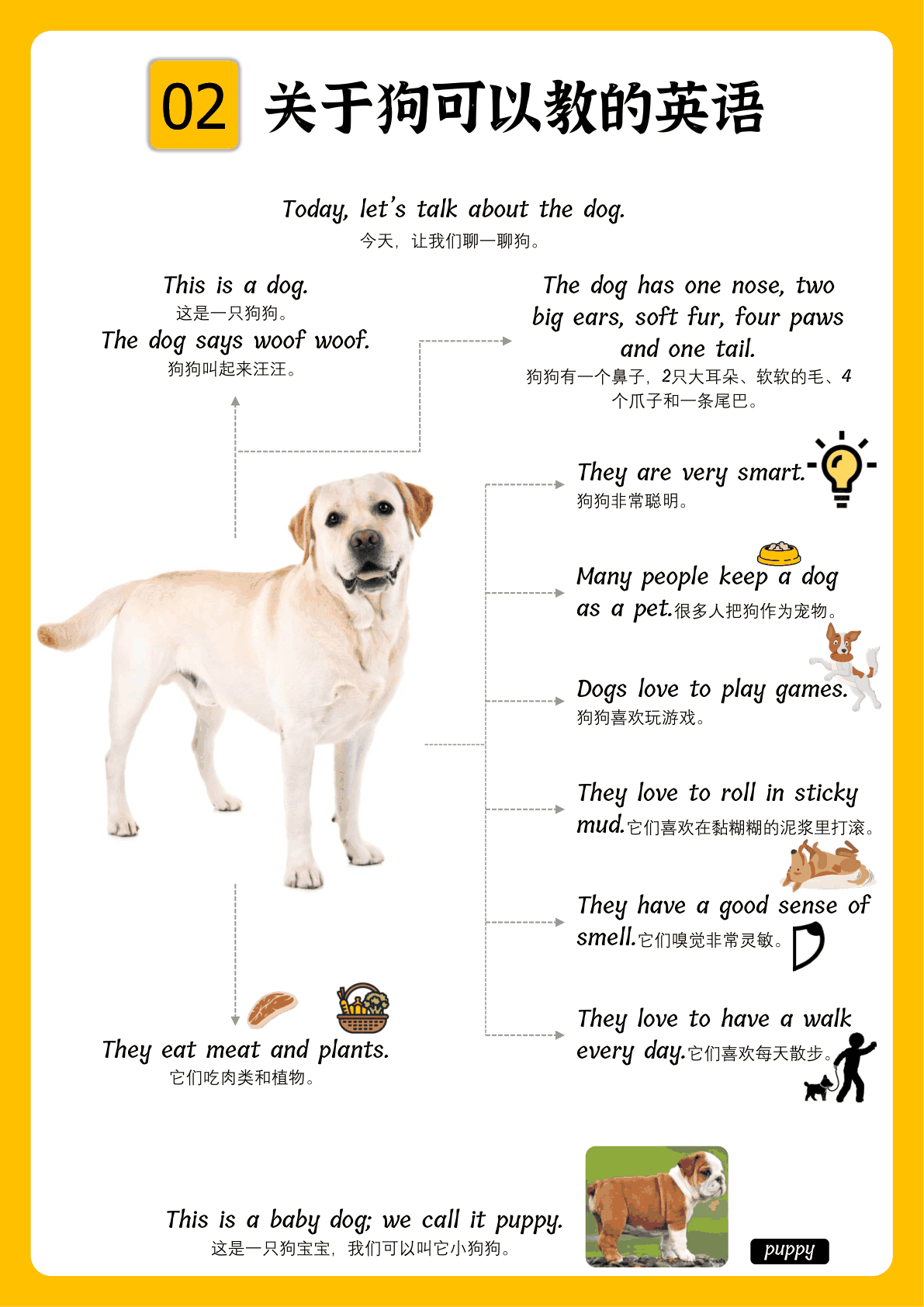 科普类句式102句 第2页