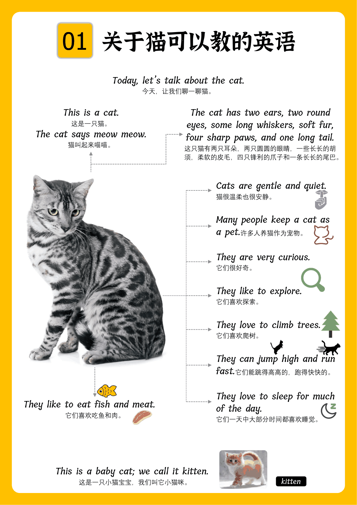 科普类句式102句 第1页