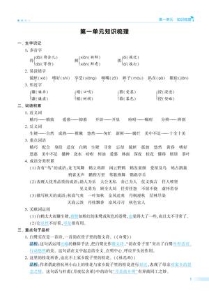48696_5上期中知识点梳理+测试卷