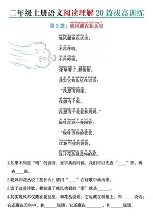 二上语文阅读理解20篇拔高训练（含答案40页） 第3页