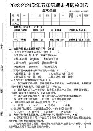 6.11语文期末试卷