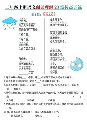 阅读理解20篇 - 二年级上学期 - 语文