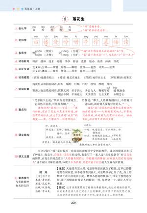 51671_五年级上册语文状元语文笔记（背记清单） 第2页