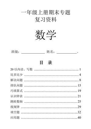 数学九大专项练习 - 一年级上学期 - 数学