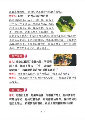 2025年三年级仿写句子 第2页