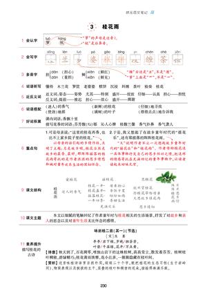 51671_五年级上册语文状元语文笔记（背记清单） 第3页