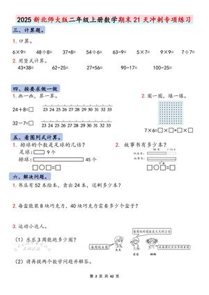 2025秋新北师大版二年级上册数学期末21天冲刺专项练习（共84页 含答案） 第2页