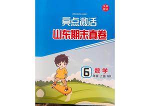 亮点激活提优大试卷 数学 青岛63版 期末真卷_六年级上学期_数学