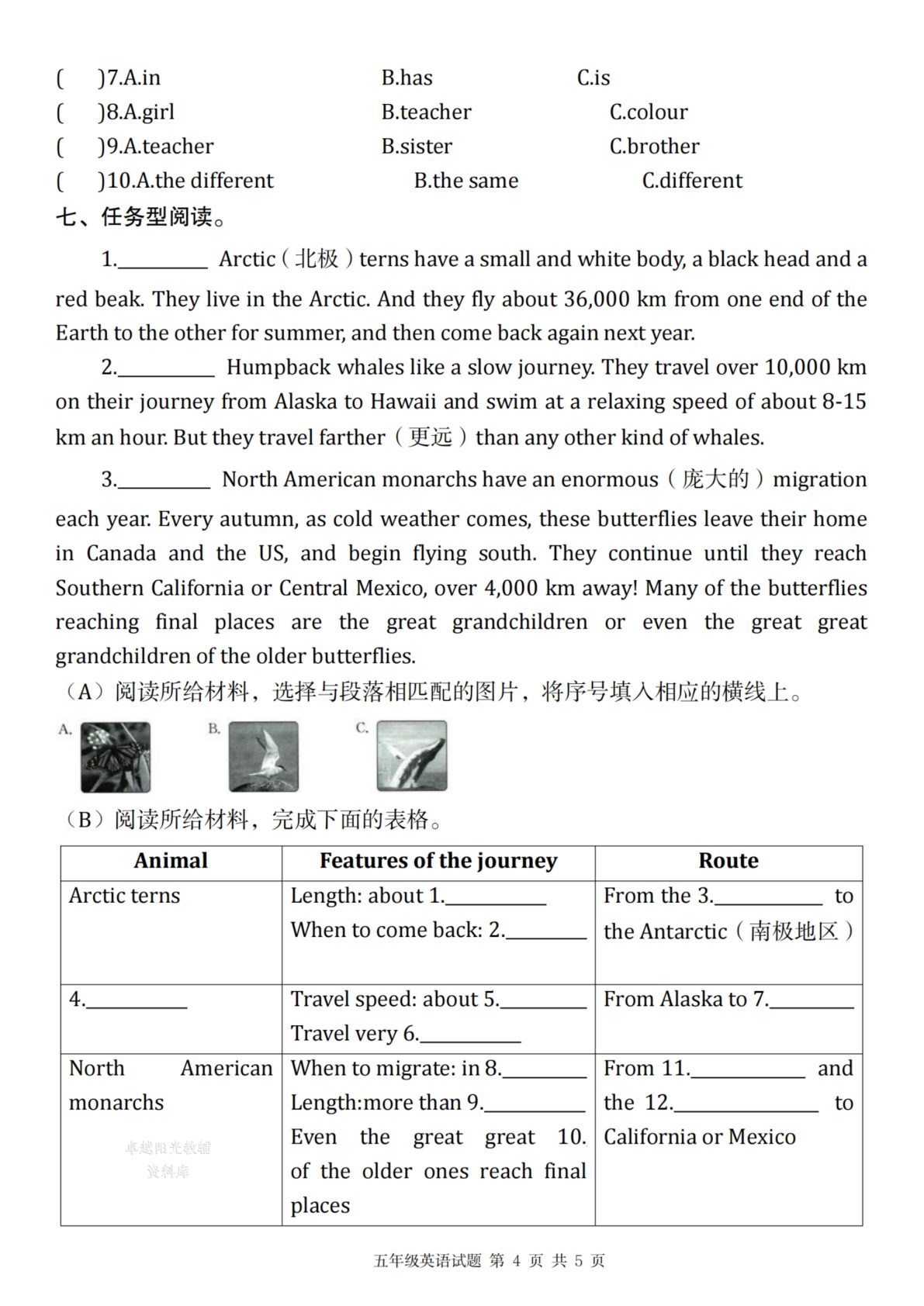 34_【译林版】2025秋五年级上册英语期中压轴卷Ⅱ 第4页