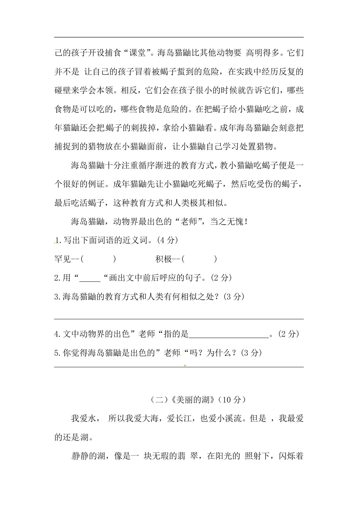 26秋三年级上册语文 开学摸底模拟试卷（三）（人教部编版，含答案） 第3页