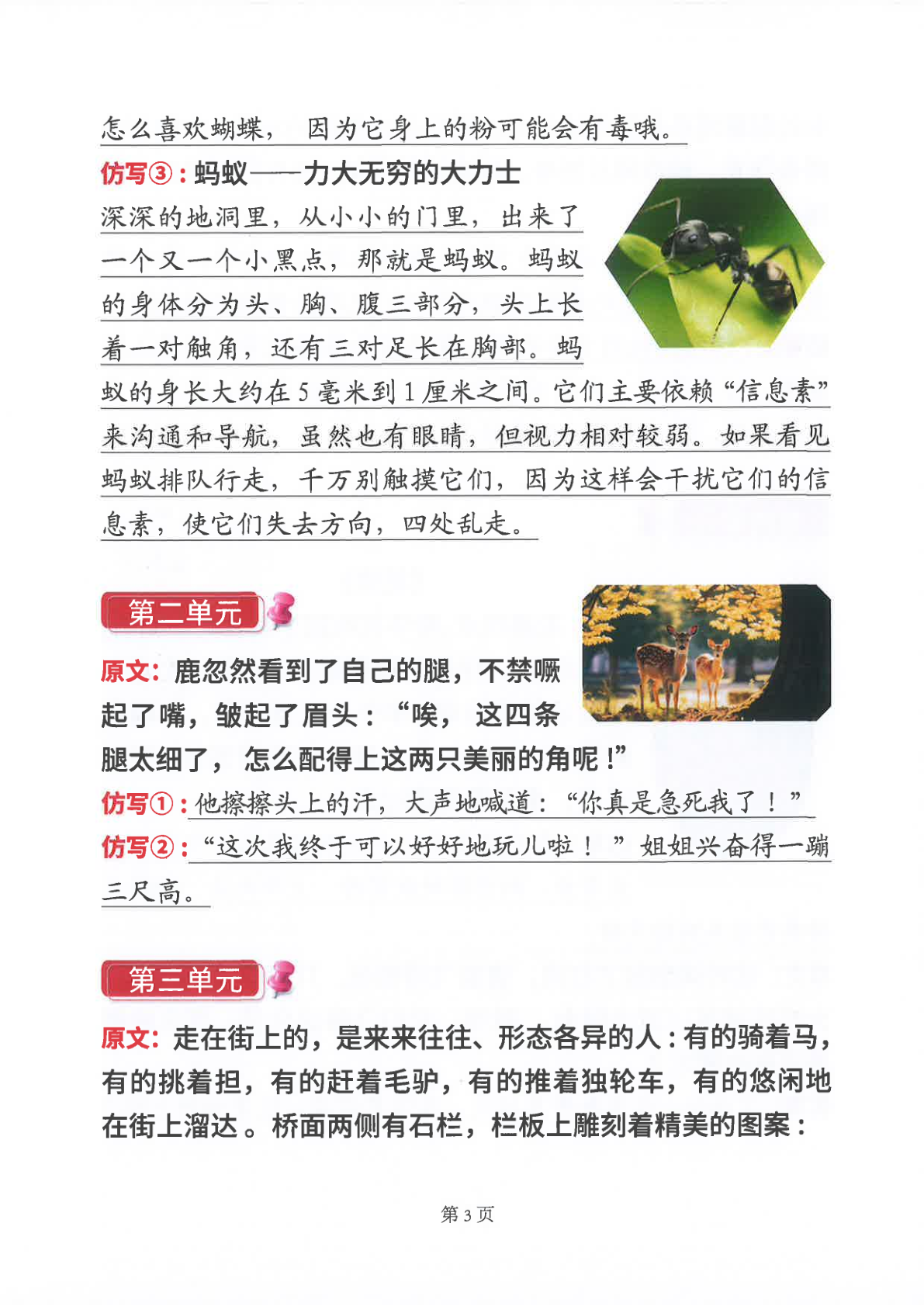 2025年三年级仿写句子 第2页