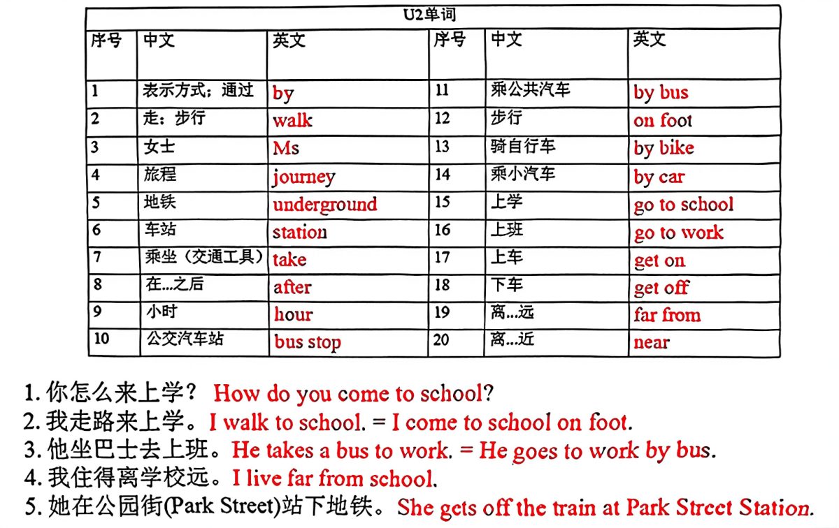 26_五年级上英语各单元单词和句子必背默写沪教牛津版 第2页